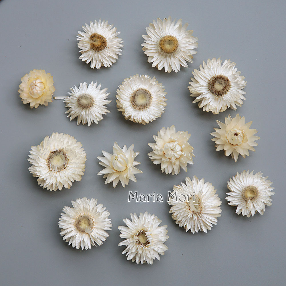 Natural Dried Colorful Chrysan - огляд і ціна Baby Products In