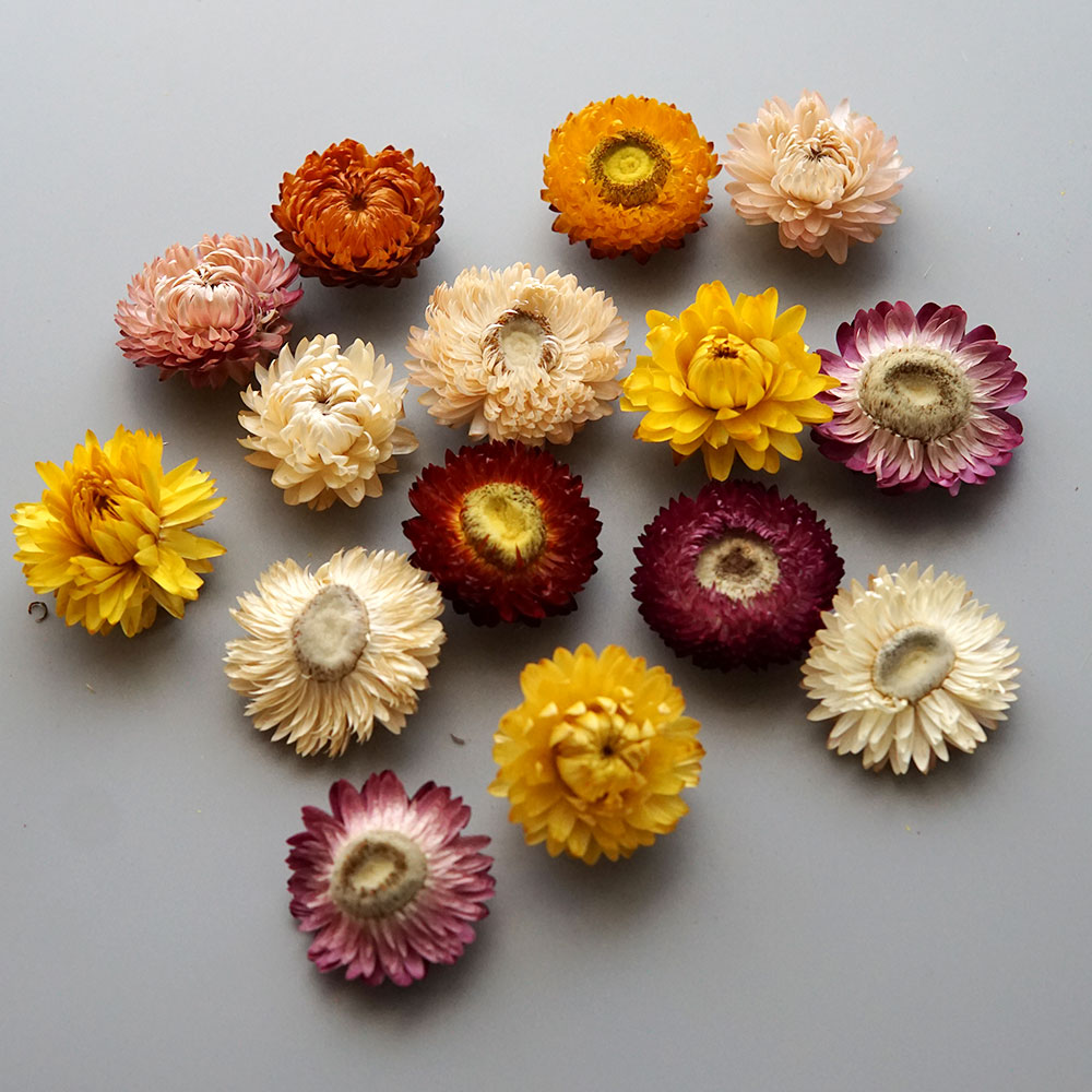 Natural Dried Colorful Chrysan - огляд і ціна Baby Products In
