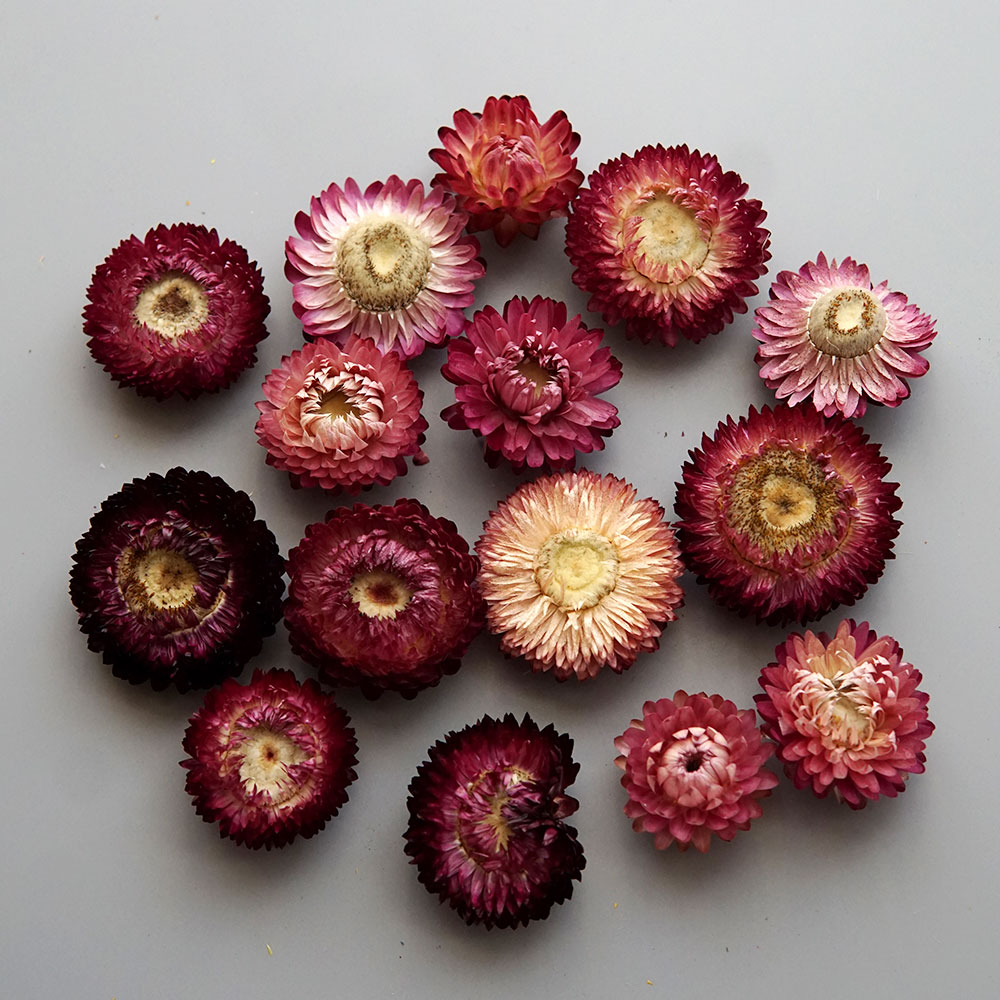 Natural Dried Colorful Chrysan - огляд і ціна Baby Products In