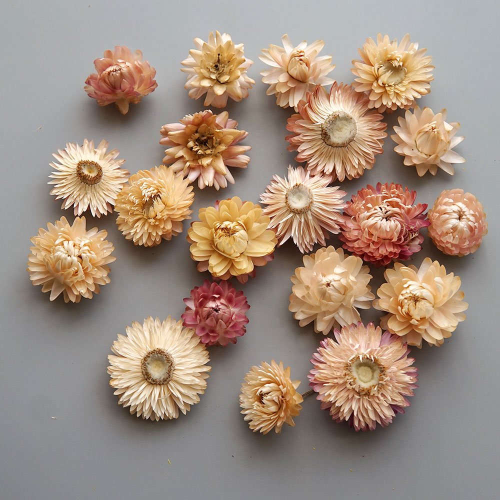 Natural Dried Colorful Chrysan - огляд і ціна Baby Products In